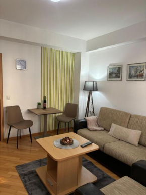 Premium One bedroom apartment Cristal